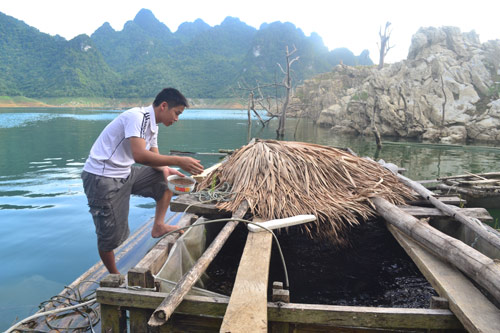 Nông dân xã Khuôn Hà chăm sóc cá lồng nuôi trên hồ thủy điện Tuyên Quang.            Ảnh: Ngọc Hưng