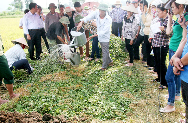 Cán bộ phòng Nông nghiệp – PTNT huyện hướng dẫn bà con ủ phân xanh.