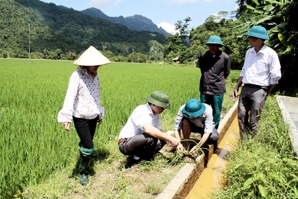 Lãnh đạo huyện kiểm tra mô hình chuyển đổi mùa vụ tại xã Minh Ngọc.