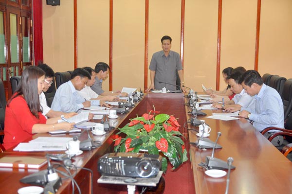 Phó Chủ tịch Thường trực UBND tỉnh Nguyễn Văn Sơn phát biểu kết luận buổi làm việc.