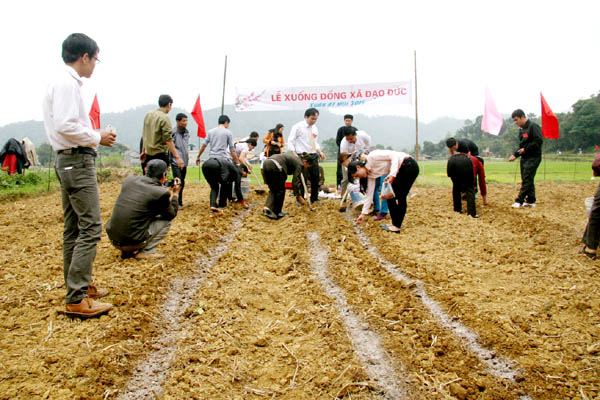 Hàng năm, Đảng bộ xã Đạo Đức luôn lãnh đạo thực hiện tốt các chỉ tiêu về nông nghiệp. Trong ảnh: Lễ hội Lồng tông tại xã.