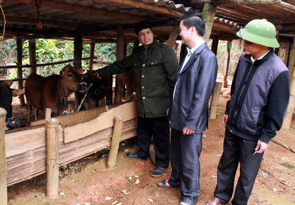 Nhiều chính sách hỗ trợ của Nhà nước giúp các hộ nghèo xã Đường Hồng có điều kiện phát triển chăn nuôi để thoát nghèo.
