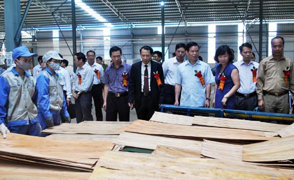 Bí thư Tỉnh ủy Triệu Tài Vinh tham quan khu sản xuất ván ép của Nhà máy. 