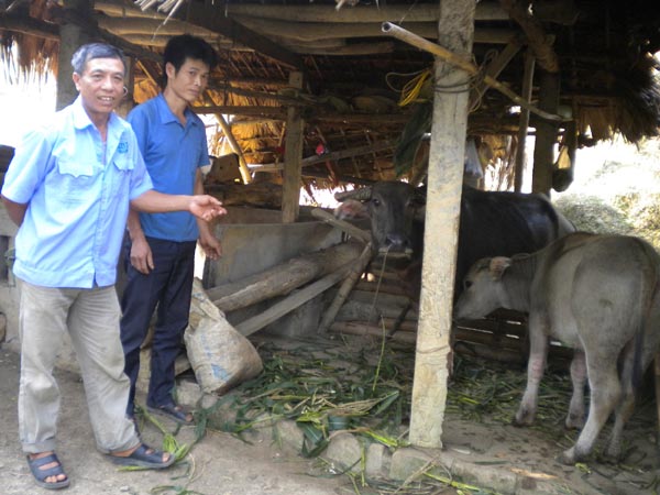 Bác Nguyễn Văn Thuận (bên trái) đang kiểm tra một hộ trong thôn Vĩnh Xuân, xã Vĩnh Phúc sử dụng vốn vay.