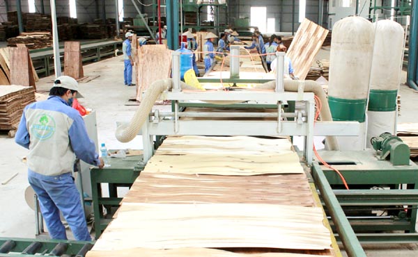 Trong ảnh: Dây chuyền chế biến gỗ ván dán của Nhà máy chế biến gỗ MDF tại Khu công nghiệp Bình Vàng mới được đưa vào hoạt động.