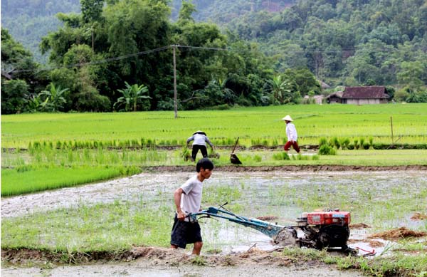 Bà con nông dân xã Minh Ngọc, huyện Bắc Mê tập trung gieo cấy lúa Mùa.