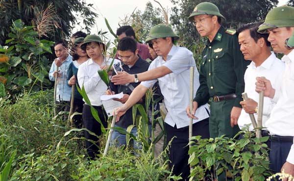Phó Bí thư Tỉnh ủy, Phó Chủ tịch Thường trực UBND tỉnh Nguyễn Văn Sơn kiểm tra thực địa mốc 323/2. 