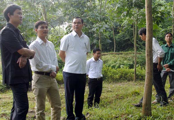 Phó Bí thư Tỉnh ủy Nguyễn Đình Khang thăm, kiểm tra tình hình phát triển của cây cao su trên địa bàn xã Bằng Lang.