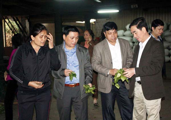 Phó Chủ tịch UBND tỉnh Nguyễn Minh Tiến và lãnh đạo ngành Nông nghiệp thăm, kiểm tra một cơ sở chế biến chè tại huyện Bắc Quang. 