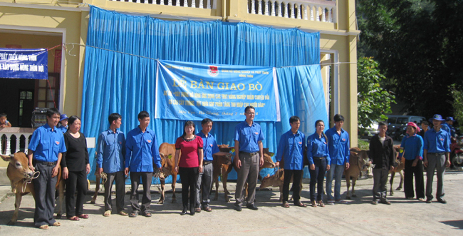 Bàn giao bò cho 22 hộ gia đình tham gia dự án.