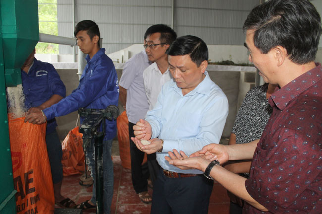 Phó Chủ tịch UBND tỉnh Nguyễn Minh Tiến cùng lãnh đạo Sở nông nghiệp và PTNT thăm cơ sở chế biến gạo chất lượng cao tại thị trấn Yên Bình.