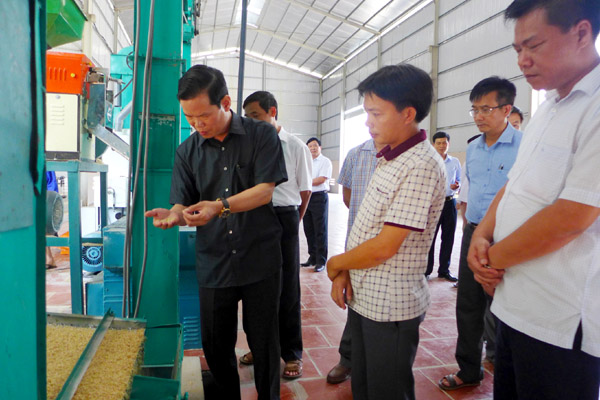 Bí thư Tỉnh ủy Triệu Tài Vinh cùng đoàn công tác kiểm tra tình hình sản xuất tại cơ sở Chế biến gạo chất lượng cao Quang Bình do Công ty TNHH MTV Tin học và Đầu tư xây dựng Quang Anh đầu tư, sản xuất, kinh doanh trên dây truyền hệ thống tự động hóa khép kín về sấy, lưu trữ, xay xát gạo.