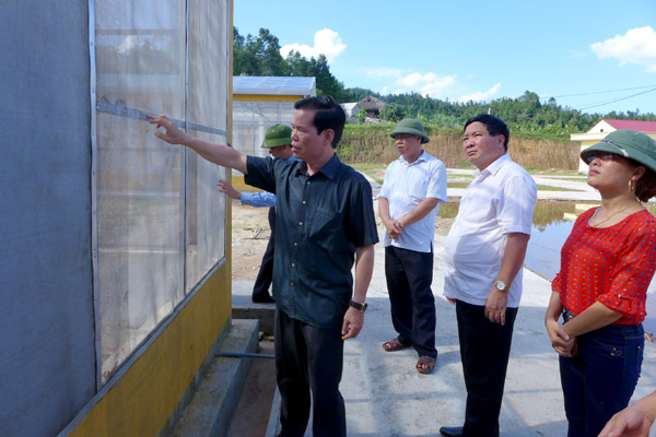 Bí thư Tỉnh ủy Triệu Tài Vinh cùng đoàn công tác kiểm tra tiến độ xây dựng Trung tâm sản xuất giống cam sành Hà Giang theo tiêu chuẩn Vietgap tại xã Yên Hà (Quang Bình)