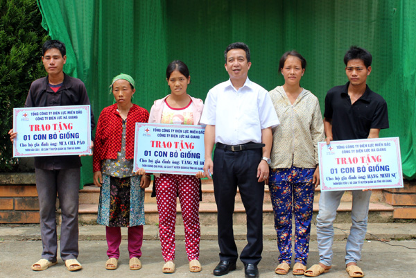 Lãnh đạo Công ty Điện lực Hà Giang trao tặng bò giống cho các hộ nghèo xã Cán Tỷ, huyện Quản Bạ.