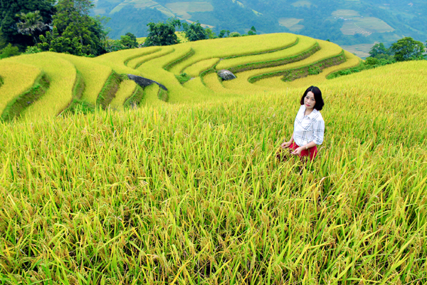 Ruộng bậc thang thôn Khuổi My.