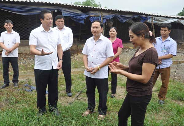 Chủ tịch UBND tỉnh Nguyễn Văn Sơn trao đổi với hộ chăn nuôi gà Trần Thị Hồng, thị trấn Việt Lâm.