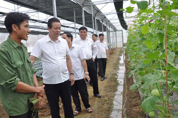 Chủ tịch UBND tỉnh Nguyễn Văn Sơn thăm mô hình trồng rau, dưa chất lượng cao Nông Văn Học, thôn Làng Vàng, thị trấn Vị Xuyên.