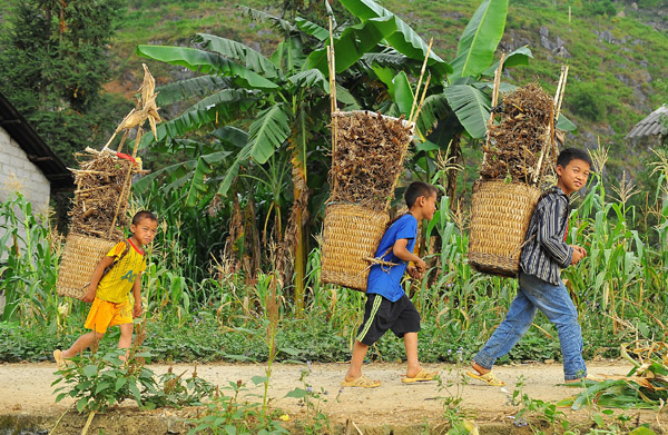Quẩy tấu là sự sáng tạo trong lao động của người Mông, hầu hết mọi thứ cần mang vác đều được đựng trong quẩy tấu.