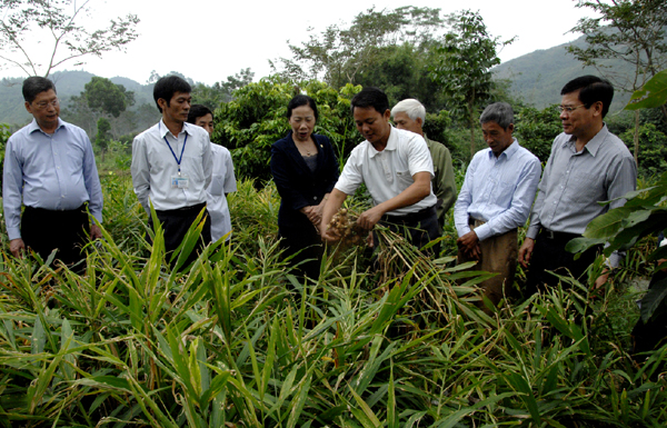 Đoàn công tác tham quan thực tế tại thôn Minh Thành.