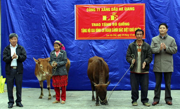 Lãnh đạo công ty Xăng dầu Hà Giang trao bò giống cho các hộ nghèo của xã.