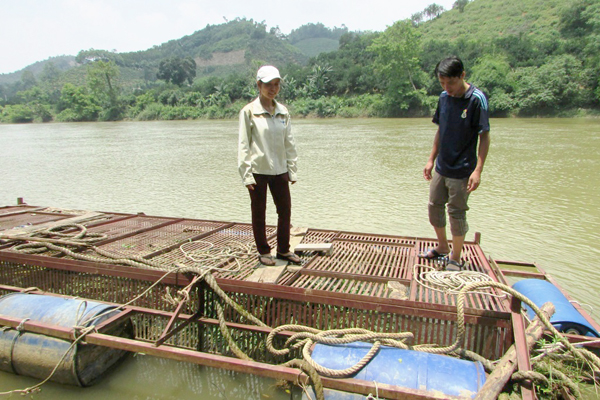 Những hộ chăn nuôi cá lồng ở Bắc Quang có cơ hội được vay vốn ĐTCTH để mở rộng, phát triển quy mô chăn nuôi. Trong ảnh: Mô hình nuôi cá lồng của gia đình chị Nguyễn Thị Cúc thôn Vĩnh Chính, xã Vĩnh Hảo.