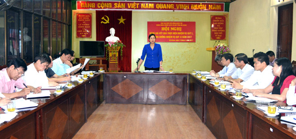 Phó Chủ tịch UBND tỉnh Hà Thị Minh Hạnh kết luận hội nghị.