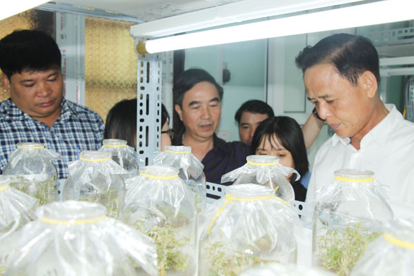 Đoàn công tác Bộ Nông nghiệp và PTNT thăm nhà nuôi cấy mô của Công ty cổ phẩn phát triển nông lâm nghiệp và môi trường Việt Nam tại huyện Vị Xuyên.