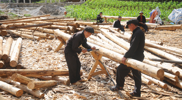 Các thợ mộc người Mông tích cực triển khai những phần việc xây dựng “Làng văn hóa du lịch cộng đồng dân tộc Mông”.