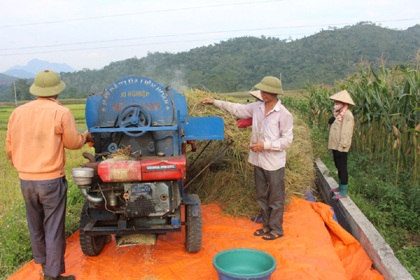 Sử dụng máy tuốt lúa giúp cho việc thu hoạch lúa nhanh và hiệu quả hơn.