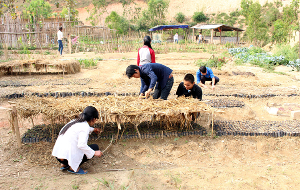 Việc định hướng nghề nghiệp cho thanh niên luôn được huyện Hoàng Su Phì quan tâm thực hiện. Trong ảnh: Giờ thực hành nghề Lâm sinh của các em học sinh Trung tâm Giáo dục nghề nghiệp - Giáo dục thường xuyên huyện.