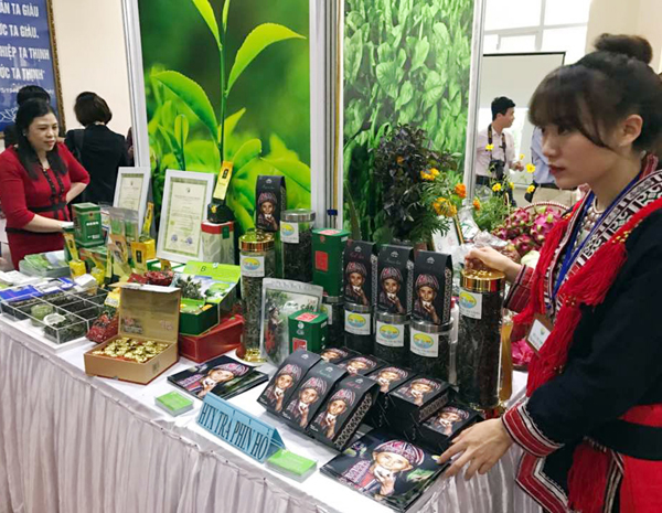 HTX chế biến chè Phìn Hồ (xã Thông Nguyên) là một trong những đơn vị luôn thực hiện tốt nghĩa vụ nộp thuế đối với Nhà nước.