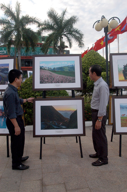 Hình ảnh về Cao nguyên đá và hoa Tam Giác mạch của Hà Giang cũng được trưng bày tại triển lãm.
