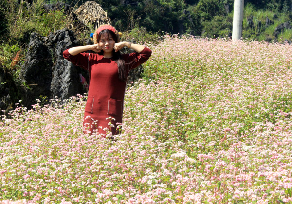 Du khách chụp ảnh lưu niệm với hoa tam giác mạch ở xã Lũng Táo.