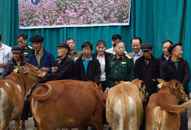 Hội trao bò cho nạn nhân tại xã Lũng Táo huyện Đồng Văn!