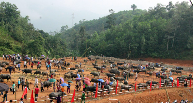 Một góc Chợ gia súc xã Khuôn Lùng.