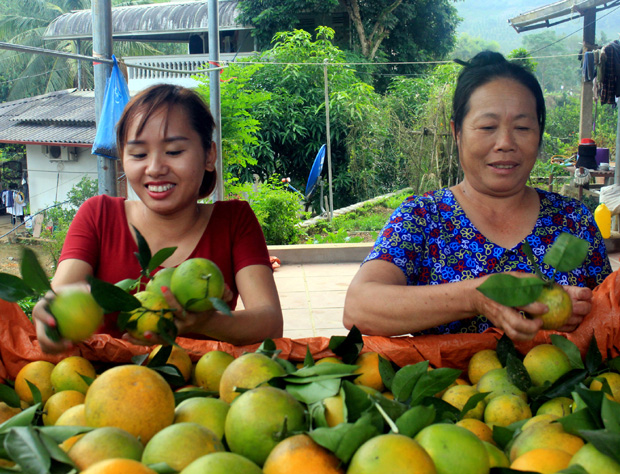 Cam được mùa, được giá đem lại niềm vui cho nhiều người nông dân. 