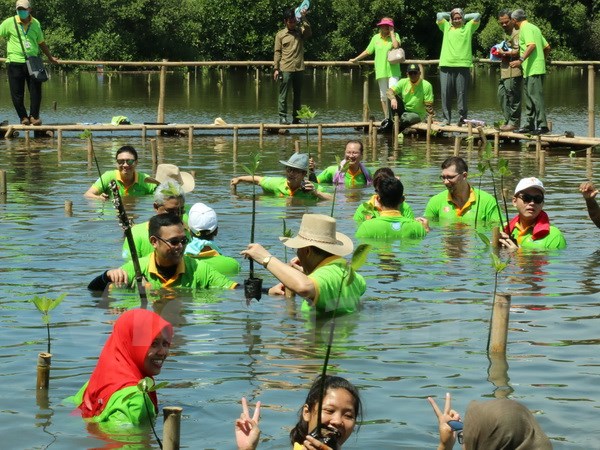 Các đại biểu tham gia trồng cây tại rừng ngập mặn Nam Jakarta, Indonesia. (Ảnh Đỗ Quyên/Vietnam+)
