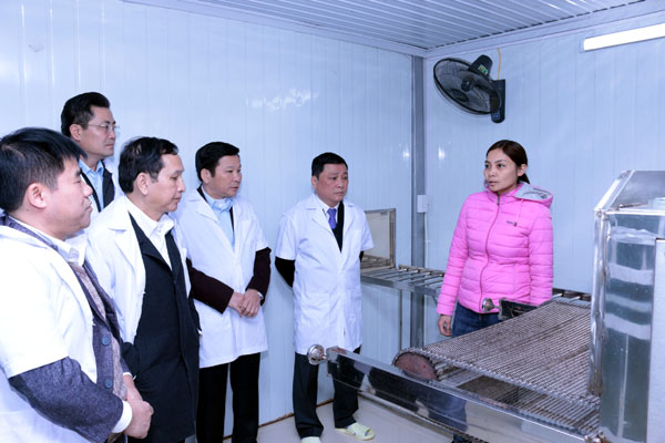 Các đồng chí lãnh đạo tỉnh tham quan dây truyền chế biến dược liệu Công ty TNHH Y học bản địa Việt Nam – Chi nhánh Hà Giang