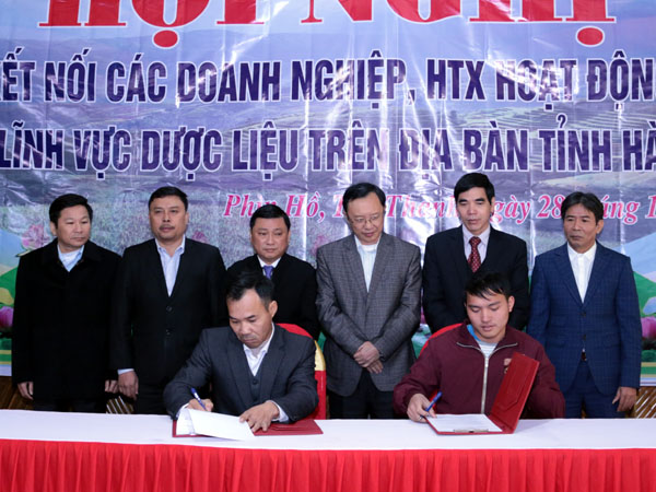 Các đơn vị ký kết hợp tác phát triển dược liệu tại hội nghị trước sự chứng kiến của các đồng chí lãnh đạo tỉnh, T.Ư
