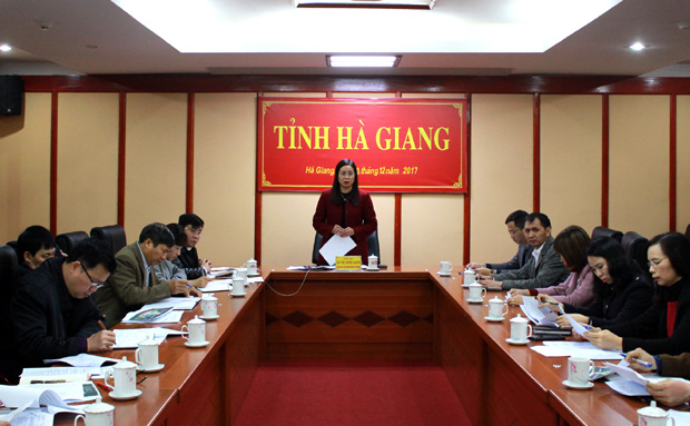 Phó Chủ tịch UBND tỉnh Hà Thị Minh Hạnh phát biểu tại buổi họp. 