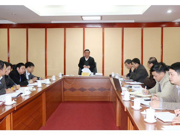 Phó Chủ tịch Thường trực UBND tỉnh kết luận buổi làm việc