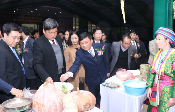 Thứ trưởng Bộ Nông nghiệp và PTNT Trần Thanh Nam (người thứ 2 bên trái) cùng các đồng chí lãnh đạo tỉnh ta tham qua gian hàng cam Sành của tỉnh Hà Giang tại hội chợ