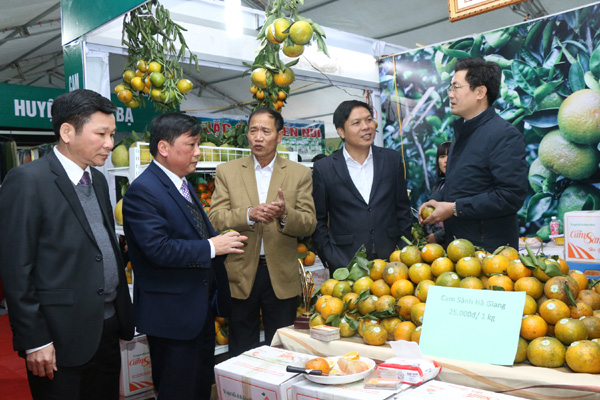 Các đồng chí lãnh đạo tỉnh tham qua gian các gian trưng bày tại hội chợ