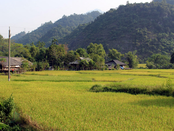 Một góc Làng Văn hóa du lịch cộng đồng thôn Thanh Sơn (Thanh Thủy).