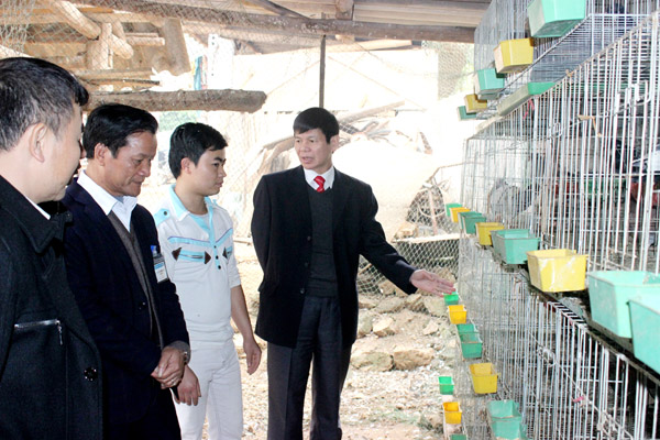 Trưởng ban Tổ chức Tỉnh ủy Nguyễn Trung Tài thăm mô hình nuôi chim bồ câu ở xã Lùng Tám, huyện Quản Bạ. 			Ảnh: Văn Long