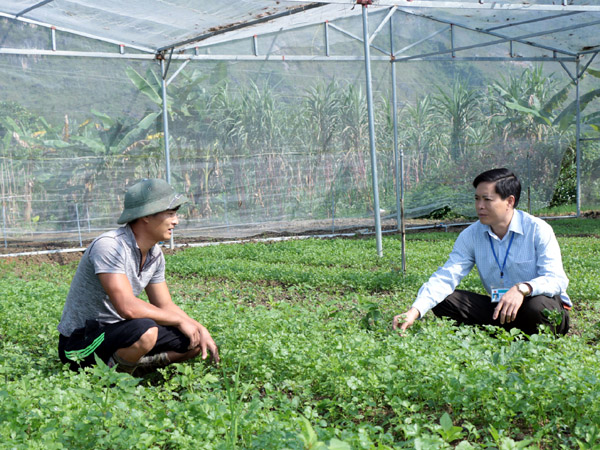 Trưởng phòng Nông nghiệp và Phát triển nông thôn huyện Yên Minh (bên phải) kiểm tra các mô hình sản xuất nông nghiệp.