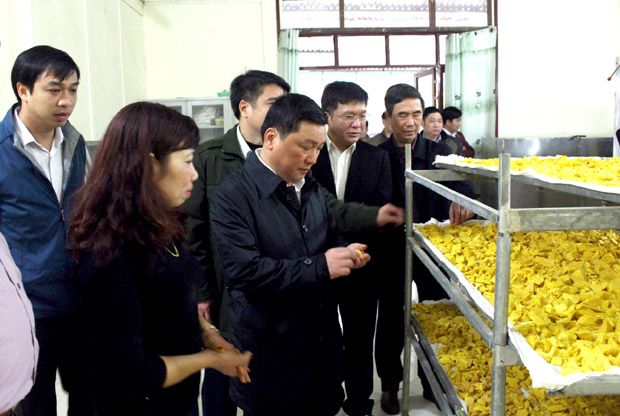 Phó Chủ tịch Thường trực UBND tỉnh Nguyễn Minh Tiến tham quan Mô hình Chế biến tinh bột nghệ tại xã Minh Ngọc.