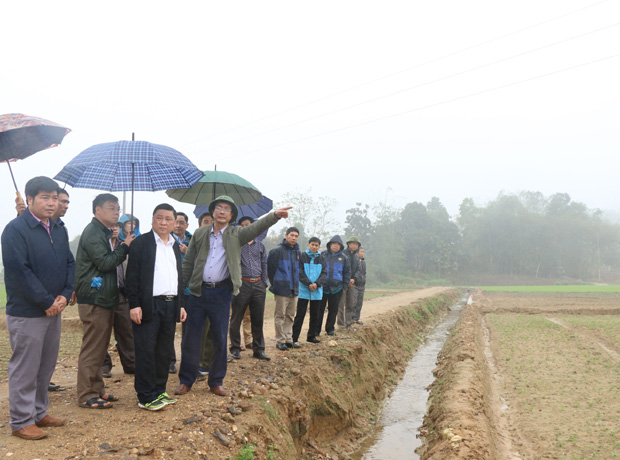 Phó Chủ tịch Thường trực UBND tỉnh Nguyễn Minh Tiến thăm mô hình dồn điền đổi thửa tại thôn Hạ, xã Bằng Lang