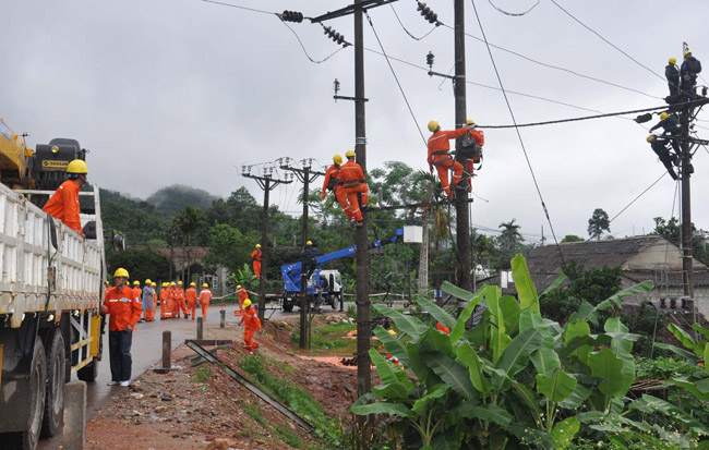 Các đơn vị tham gia diễn tập