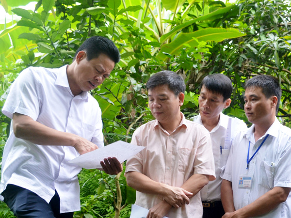 Chủ tịch UBND tỉnh Nguyễn Văn Sơn và các cơ quan liên quan trực tiếp kiểm tra khu đất giao tái định cư tại chỗ cho gia đình bà Nguyễn Thị Rẽ.